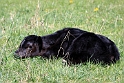 nyfodt IMG_8873